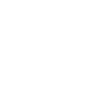 个性化车型