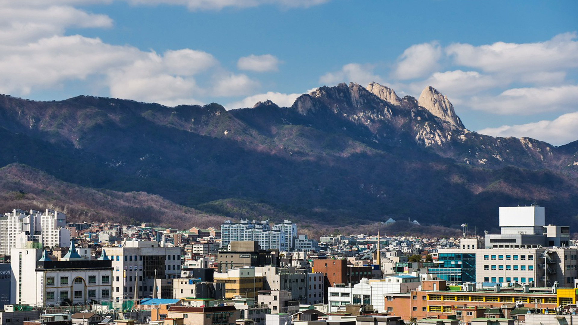 日本大阪接机到市区价格怎样,哪里预订