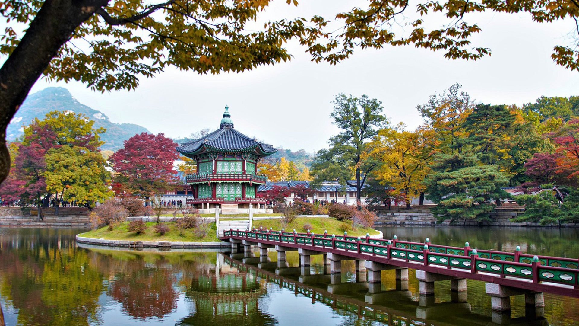 日本京都团队包车价格怎样,京都巴士包车价格表