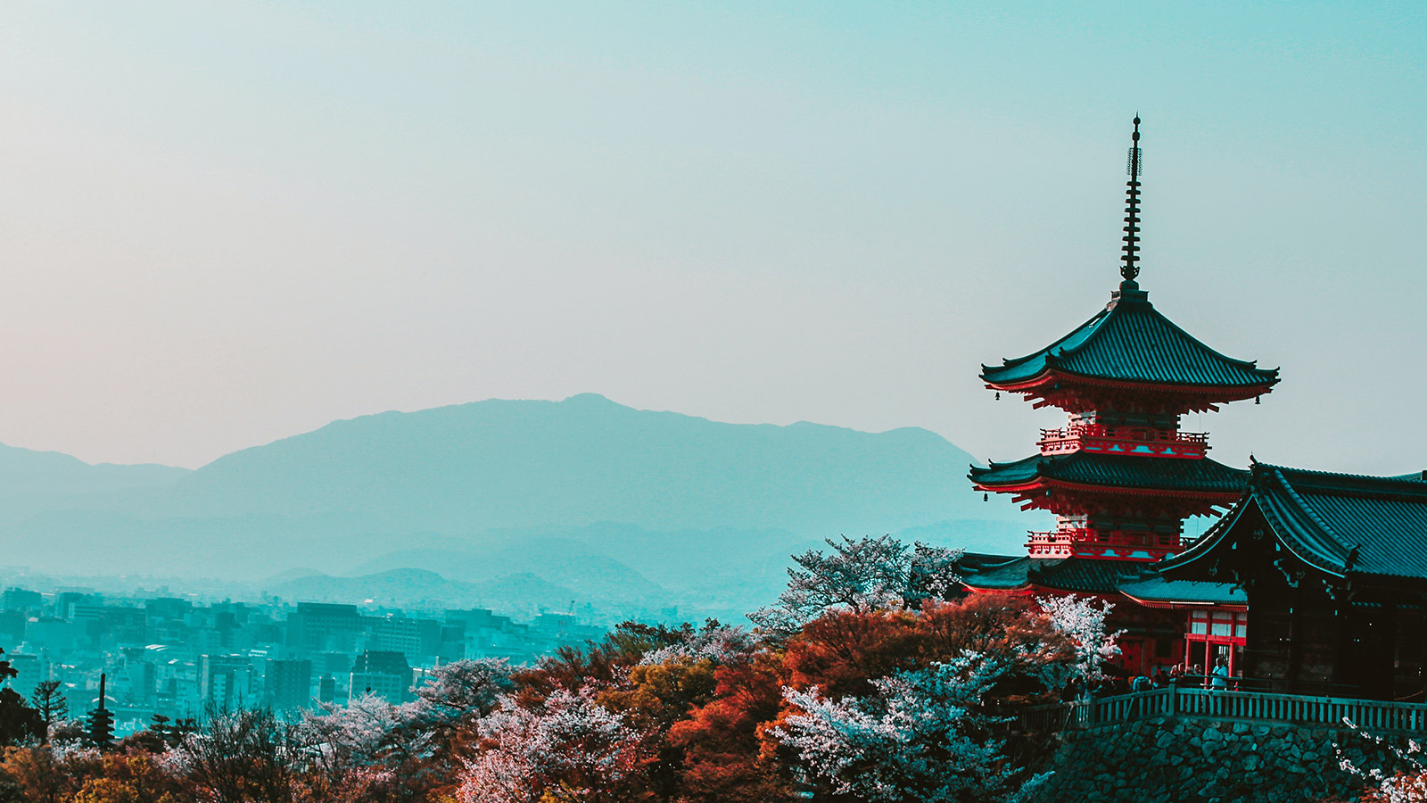 日本冲绳包车价格一览