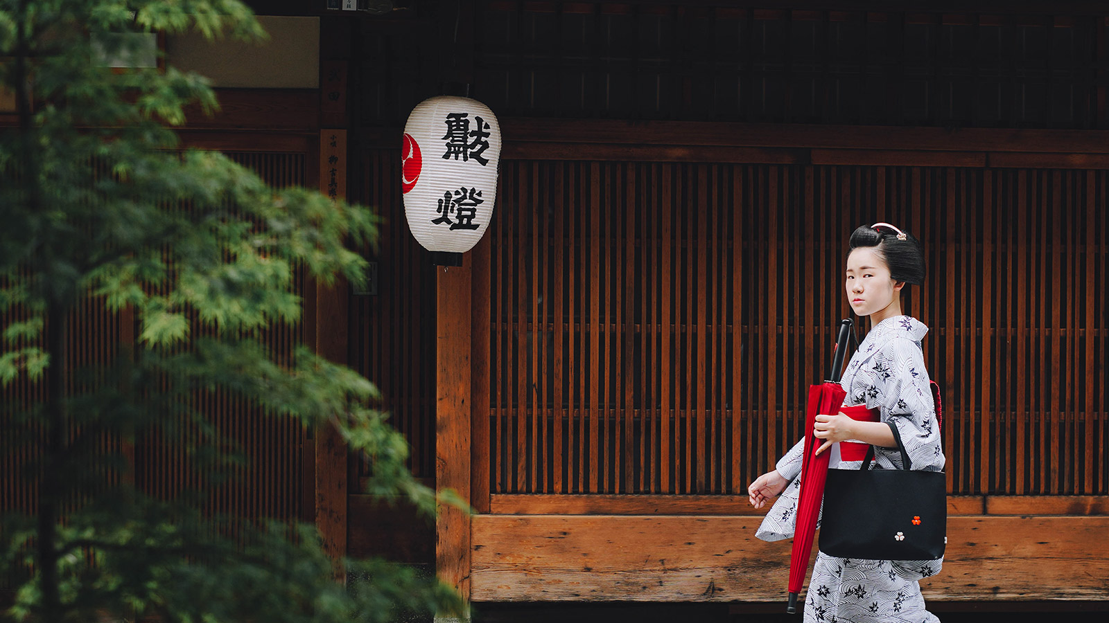 神户包车费用一览:不同车型的价格对比